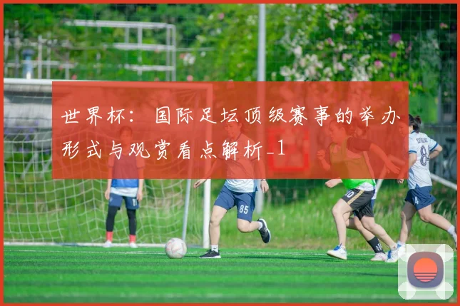 世界杯：国际足坛顶级赛事的举办形式与观赏看点解析_1